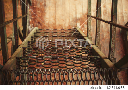 Autumn golden background. dried spruce needles on a wooden background. 82718083
