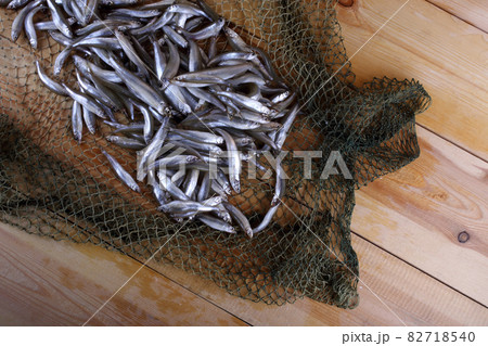 Smelt fishes on net (Pacific little smelt) Smelt fishes on net (Pacific little smelt) 82718540