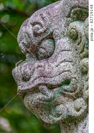 陶彦神社 陶彦神社 82719148