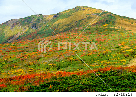神の絨毯 日本一美しい山岳紅葉で知られる花の百名山、栗駒山(須川岳) 神の絨毯 日本一美しい山岳紅葉で知られる花の百名山、栗駒山(須川岳) 82719313