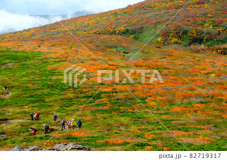 神の絨毯　日本一美しい山岳紅葉で知られる花の百名山、栗駒山（須川岳） 82719317
