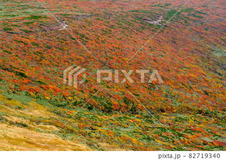 神の絨毯　日本一美しい山岳紅葉で知られる花の百名山、栗駒山（須川岳） 82719340