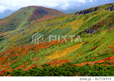 神の絨毯 日本一美しい山岳紅葉で知られる花の百名山、栗駒山(須川岳) 神の絨毯 日本一美しい山岳紅葉で知られる花の百名山、栗駒山(須川岳) 82719354