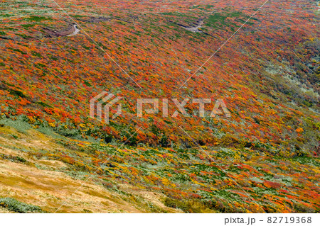 神の絨毯 日本一美しい山岳紅葉で知られる花の百名山、栗駒山(須川岳) 神の絨毯 日本一美しい山岳紅葉で知られる花の百名山、栗駒山(須川岳) 82719368