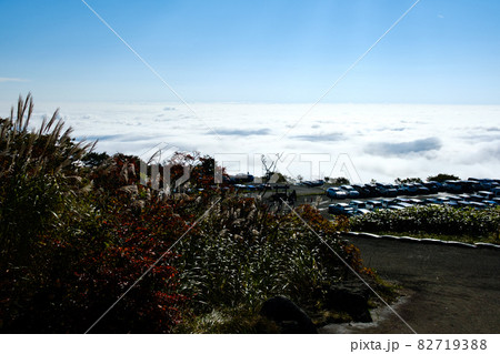 神の絨毯　日本一美しい山岳紅葉で知られる花の百名山、栗駒山（須川岳） 82719388