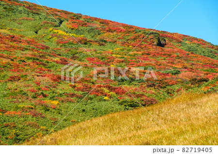 神の絨毯 日本一美しい山岳紅葉で知られる花の百名山、栗駒山(須川岳) 神の絨毯 日本一美しい山岳紅葉で知られる花の百名山、栗駒山(須川岳) 82719405