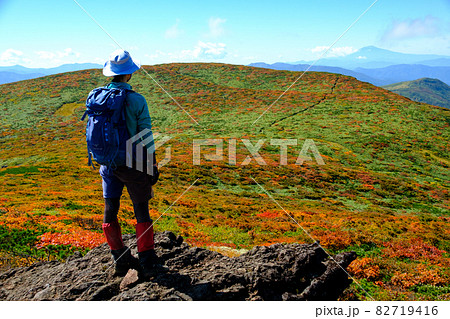 神の絨毯　日本一美しい山岳紅葉で知られる花の百名山、栗駒山（須川岳） 82719416