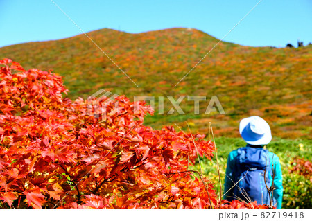 神の絨毯 日本一美しい山岳紅葉で知られる花の百名山、栗駒山(須川岳) 神の絨毯 日本一美しい山岳紅葉で知られる花の百名山、栗駒山(須川岳) 82719418