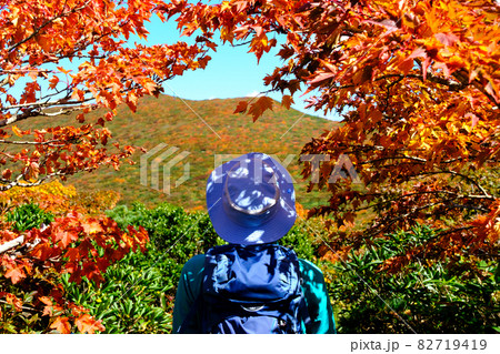 神の絨毯 日本一美しい山岳紅葉で知られる花の百名山、栗駒山(須川岳) 神の絨毯 日本一美しい山岳紅葉で知られる花の百名山、栗駒山(須川岳) 82719419