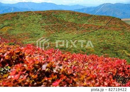 神の絨毯 日本一美しい山岳紅葉で知られる花の百名山、栗駒山(須川岳) 神の絨毯 日本一美しい山岳紅葉で知られる花の百名山、栗駒山(須川岳) 82719422