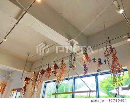 ドライフラワー 82719494