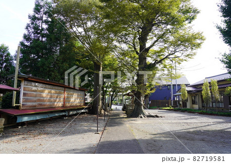 下溝八幡宮 参道(相模原市南区下溝) 下溝八幡宮 参道(相模原市南区下溝) 82719581