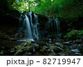 兵庫県・猿壺の滝 82719947