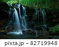 兵庫県・猿壺の滝 82719948