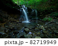 兵庫県・猿壺の滝 82719949