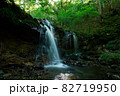 兵庫県・猿壺の滝 82719950