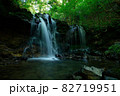 兵庫県・猿壺の滝 82719951
