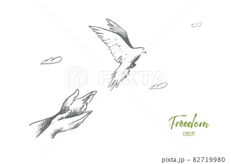 Freedom concept. Hand drawn isolated vector. 82719980