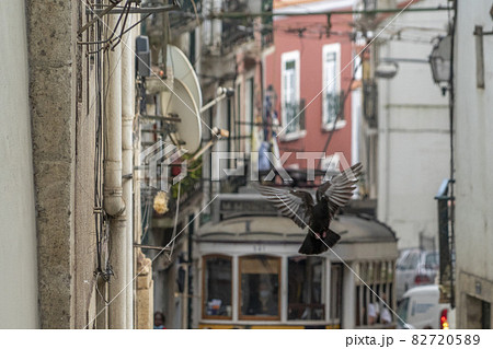 Lisbon Cable Car traditional trolley 82720589
