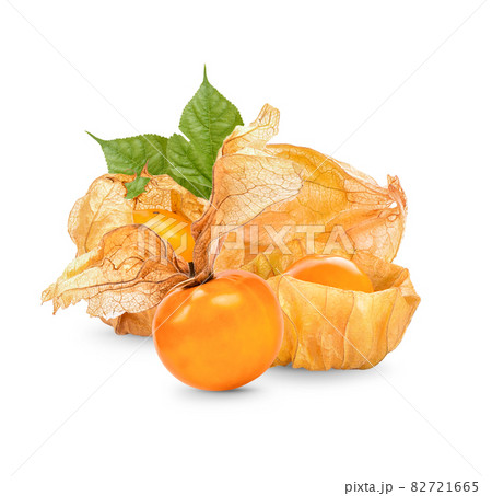 Cape gooseberry, physalis with leaves isolated on white background Cape gooseberry, physalis with leaves isolated on white background 82721665