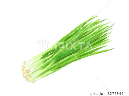 ねぎの束 ねぎの束 82723444