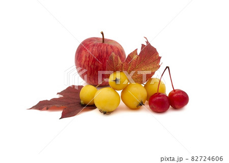Siberian crab apple over a white background 82724606