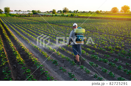 Farmer sprays a potato plantation with a sprayer. Chemical treatment. Mist sprayer, fungicide and pesticide. Effective crop protection of cultivated plants against insects and fungal. Field work Farmer sprays a potato plantation with a sprayer. Chemical treatment. Mist sprayer, fungicide and pesticide. Effective crop protection of cultivated plants against insects and fungal. Field work 82725291