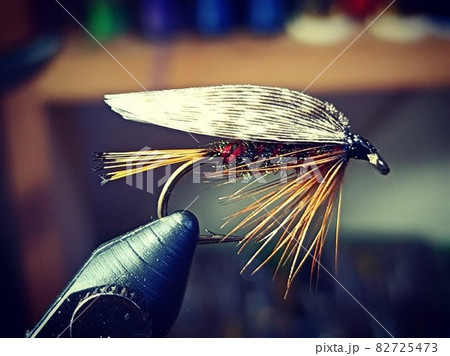 フライフィッシングで使うウエットフライの写真です。 フライフィッシングで使うウエットフライの写真です。 82725473