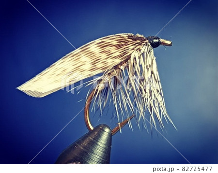 フライフィッシングで使うウエットフライの写真です。 82725477