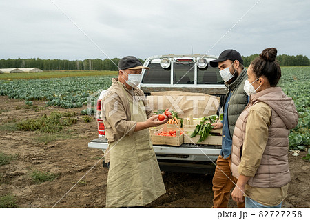 Mature farmer showing fresh ripe tomatoes to young couple Mature farmer showing fresh ripe tomatoes to young couple 82727258