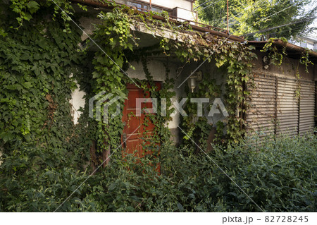 日本の古い外壁に蔦の絡まった家/二階建て/一軒家/老朽化した家/鬱蒼とした家 日本の古い外壁に蔦の絡まった家/二階建て/一軒家/老朽化した家/鬱蒼とした家 82728245