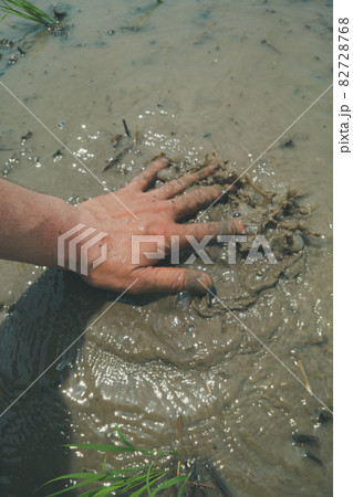 田植えの時の田んぼの土 82728768