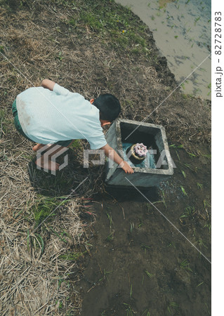 田んぼの水口で足を洗う子供 田んぼの水口で足を洗う子供 82728783