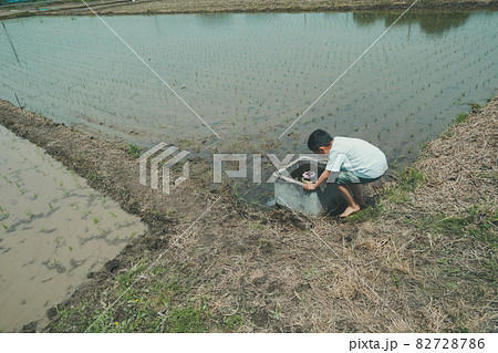 田んぼの水口で足を洗う子供 82728786