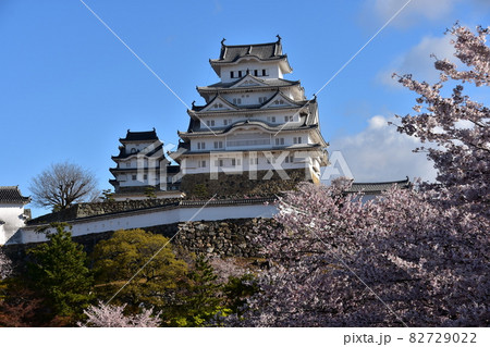 日本の兵庫県の姫路市 世界遺産で国宝でもある姫路城 春の桜と青空と立派な天守閣 日本の兵庫県の姫路市 世界遺産で国宝でもある姫路城 春の桜と青空と立派な天守閣 82729022