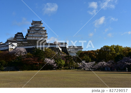 日本の兵庫県の姫路市　世界遺産で国宝でもある姫路城　春の桜と青空と立派な天守閣 82729057