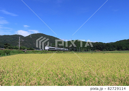 山陰本線 園部付近の水田と特急きのさき 山陰本線 園部付近の水田と特急きのさき 82729114