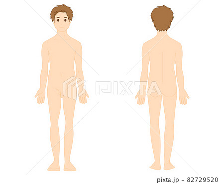 男性の全身イラスト 美容 ベクターイラスト 男性の全身イラスト 美容 ベクターイラスト 82729520