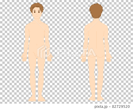 男性の全身イラスト 美容 ベクターイラスト 男性の全身イラスト 美容 ベクターイラスト 82729520