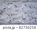 カナダ　雪原　雪のテクスチャ 82730258