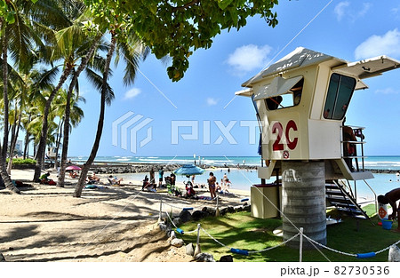 ハワイの休日 ハワイの休日 82730536