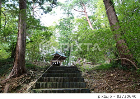 森の中石段をのぼる 神聖な空気に包まれる 秋の日 森の中石段をのぼる 神聖な空気に包まれる 秋の日 82730640