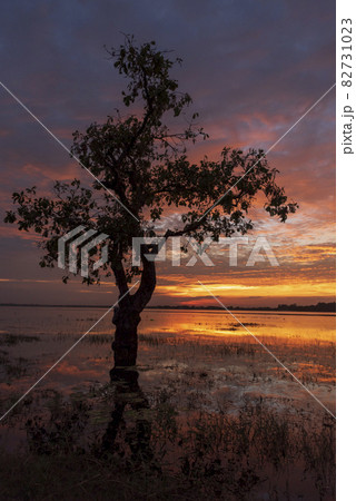 Scenic view dramatic beautiful sunset sky. Natural Sunset Sunrise on meadow silhouette shadow dark land. Vibrant dramatic sky on sunset, dawn, sunrise in Countryside. Landscape Colorful Sky At Sunset Scenic view dramatic beautiful sunset sky. Natural Sunset Sunrise on meadow silhouette shadow dark land. Vibrant dramatic sky on sunset, dawn, sunrise in Countryside. Landscape Colorful Sky At Sunset 82731023