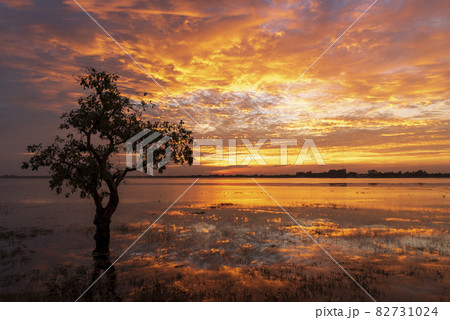 Scenic view dramatic beautiful sunset sky. Natural Sunset Sunrise on meadow silhouette shadow dark land. Vibrant dramatic sky on sunset, dawn, sunrise in Countryside. Landscape Colorful Sky At Sunset 82731024