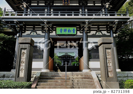 東京都港区愛宕　青松寺の山門 82731398