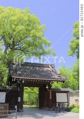 藤田邸跡公園 82732463