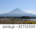コスモスと富士 82732504