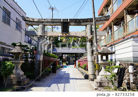 大阪 茨木 茨木神社 東門(旧茨木城搦手門)と鳥居(秋) 大阪 茨木 茨木神社 東門(旧茨木城搦手門)と鳥居(秋) 82733258