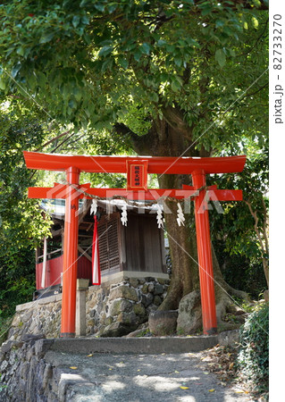 阪 茨木 於満稲荷大明神(元茨木川緑地、田中町、秋) 阪 茨木 於満稲荷大明神(元茨木川緑地、田中町、秋) 82733270