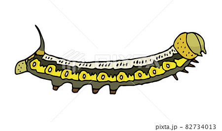 オオスカシバの幼虫 Pellucid hawk moth オオスカシバの幼虫 Pellucid hawk moth 82734013